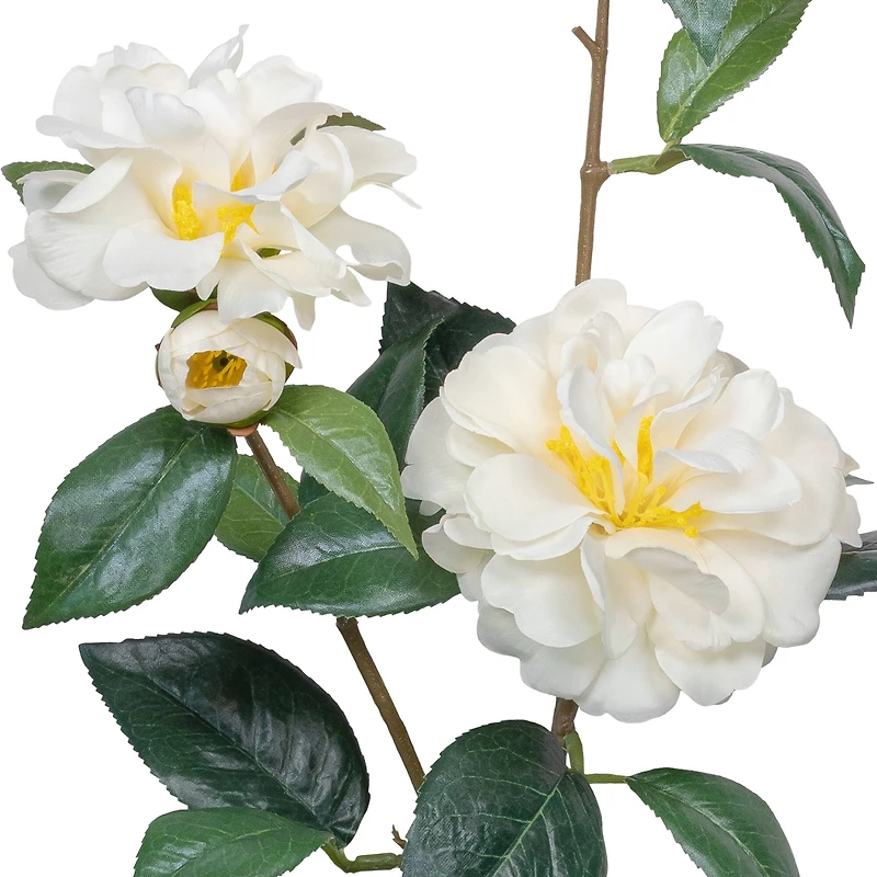 34" Camellia Spray Stem by Ashland