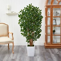 5.5ft. Black Olive Artificial Tree with 1365 Bendable Leaves in Metal White Planter