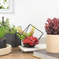 5.5" Succulent Arrangement in Black Metal Wire Frame