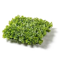 Large Boxwood Mat by Ashland®