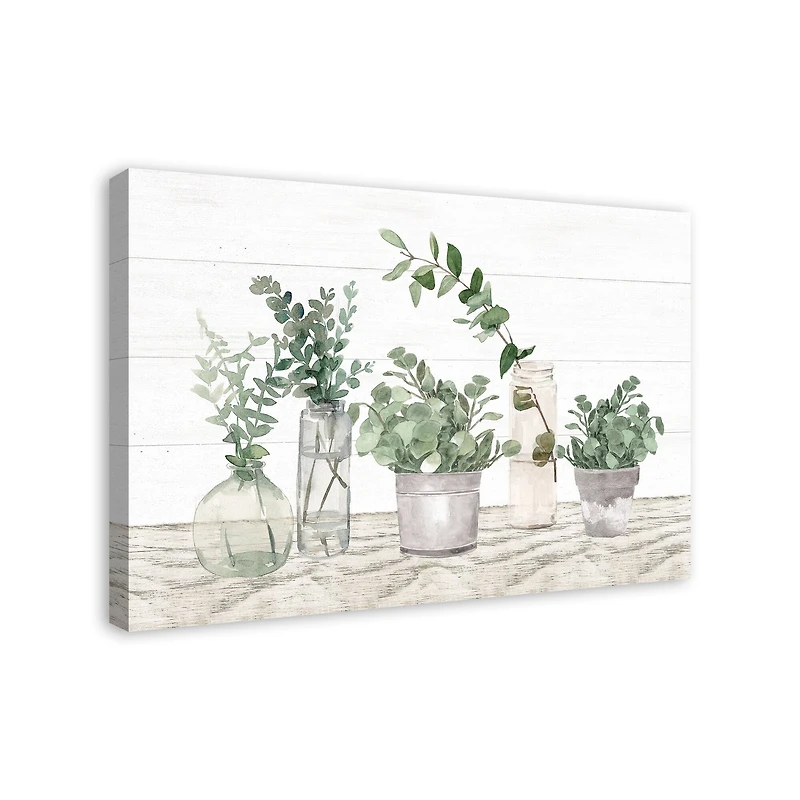 Glass Pots With Plants 36" x 24" Canvas Wall Art