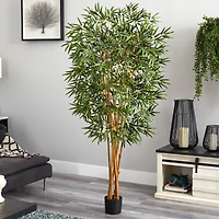 6ft. Potted Curved Bamboo Tree