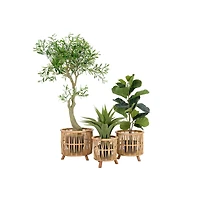 Hello Honey® Woven Bamboo Footed Baskets Set