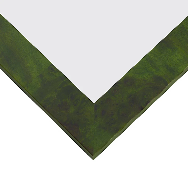 Craig Frames Innovations Green Burl Picture Frame