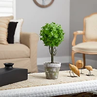 15" Potted Eucalyptus Topiary Tree