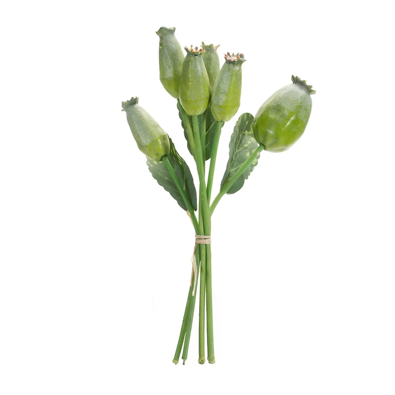 9.5" Green Poppy Pod Foliage Bundles, 6ct.