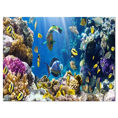 Designart - Fish in Coral Reef