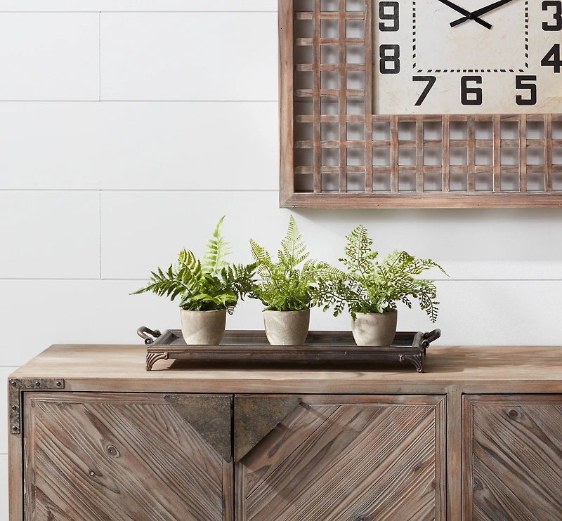 11" Potted Fern Plant Set