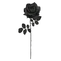 29.5" Black Rose Stem by Ashland®