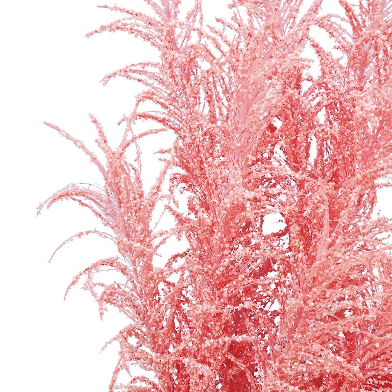 6 Pack: Peach Pampas Grass Stem by Ashland®