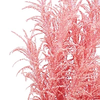 6 Pack: Peach Pampas Grass Stem by Ashland®