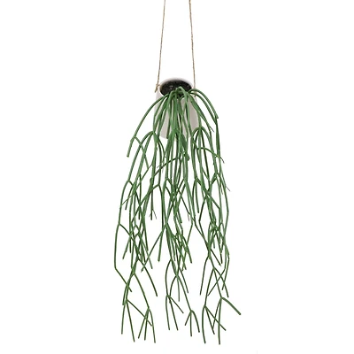 28" Hanging Mistletoe Cactus in White Ceramic Pot by Ashland®