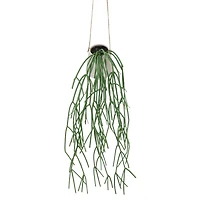 28" Hanging Mistletoe Cactus in White Ceramic Pot by Ashland®