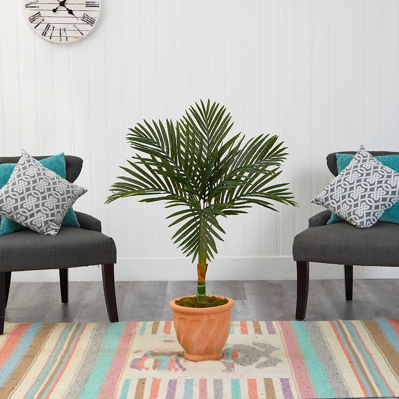 3.5ft. Golden Cane Palm Tree in Terra-Cotta Planter