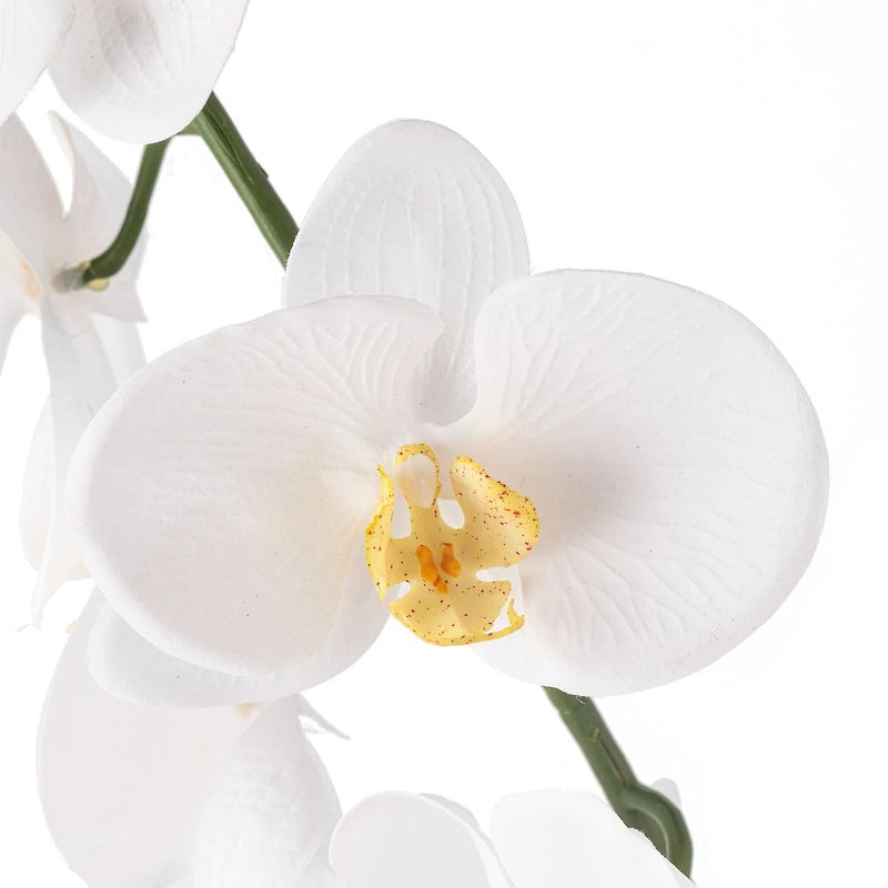 12 Pack: White Orchid Stem by Ashland®