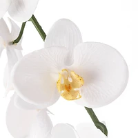 12 Pack: White Orchid Stem by Ashland®
