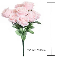 Pink Rose Bush by Ashland