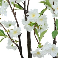 5.75ft. Cream Blossom Tree by Ashland®