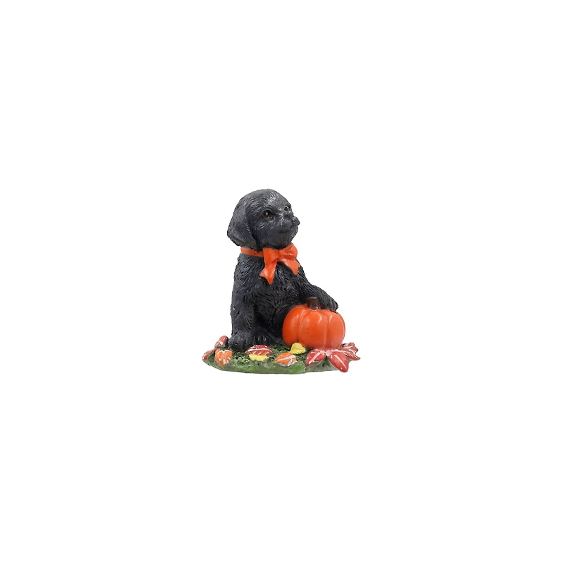 Mini Lab with Pumpkin by Ashland®