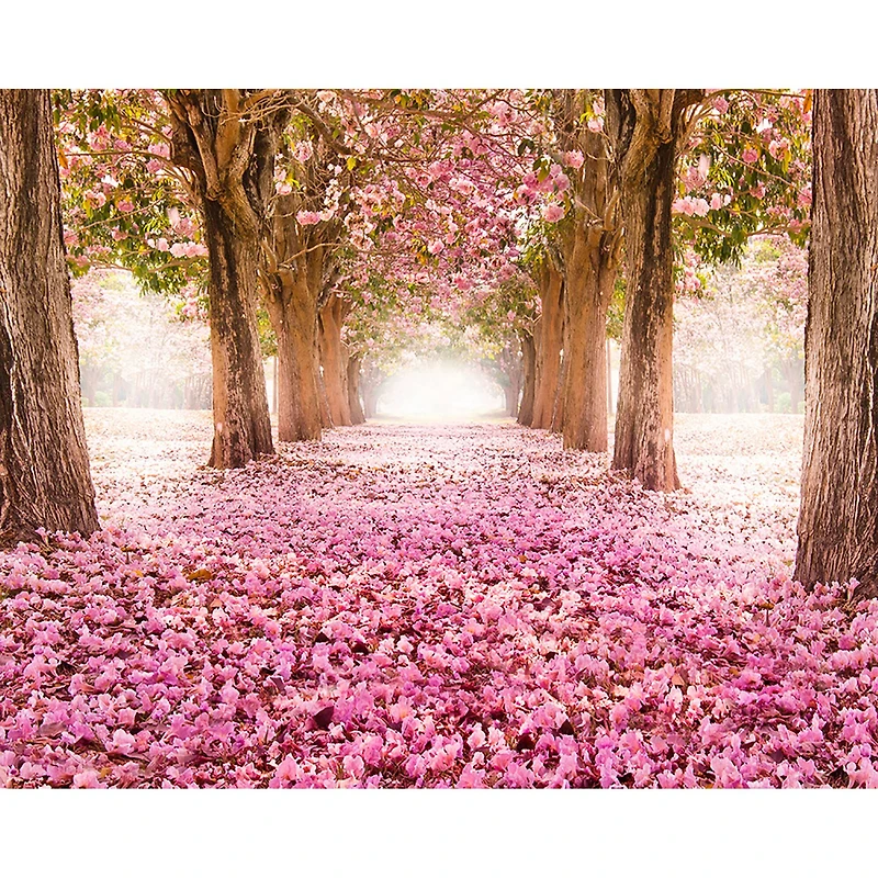 Ohpopsi Yonder Wall Mural