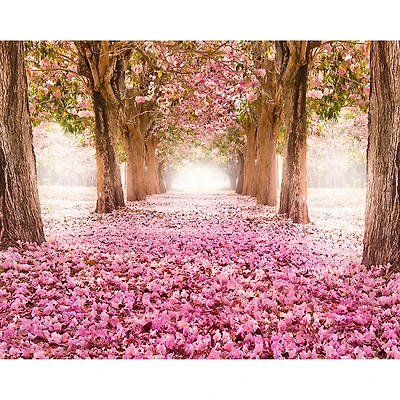 Ohpopsi Yonder Wall Mural