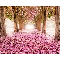 Ohpopsi Yonder Wall Mural