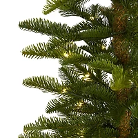 6ft. Pre-Lit Alaskan Alpine Artificial Christmas Tree, Clear LED Lights