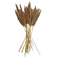 Dried Plant Bamboo Natural Foliage with Long Stems