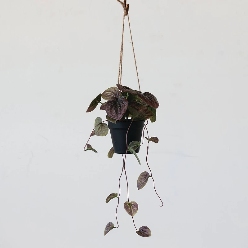 Hello Honey® 22" Green Faux Watermelon Begonia Plant in Plastic Pot