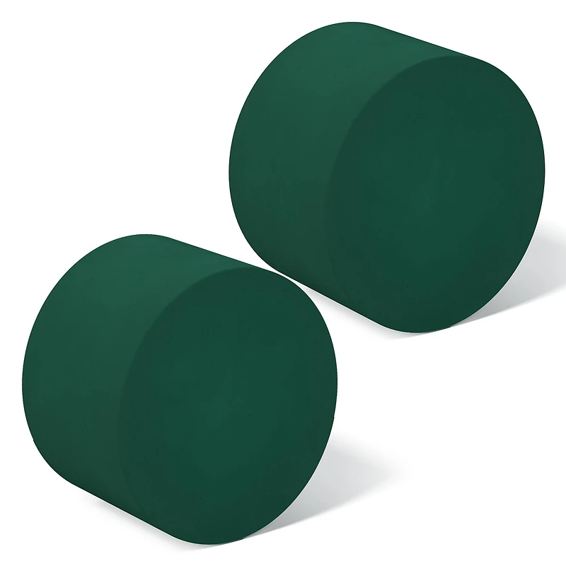 FloraCraft® 1.75" x 2.75" Green Artesia WetFōM® Discs, 2ct.
