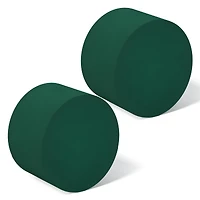 FloraCraft® 1.75" x 2.75" Green Artesia WetFōM® Discs, 2ct.