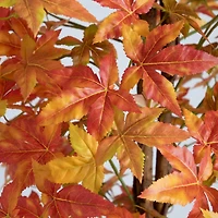 8ft. Autumn Deluxe Maple Artificial Fall Tree