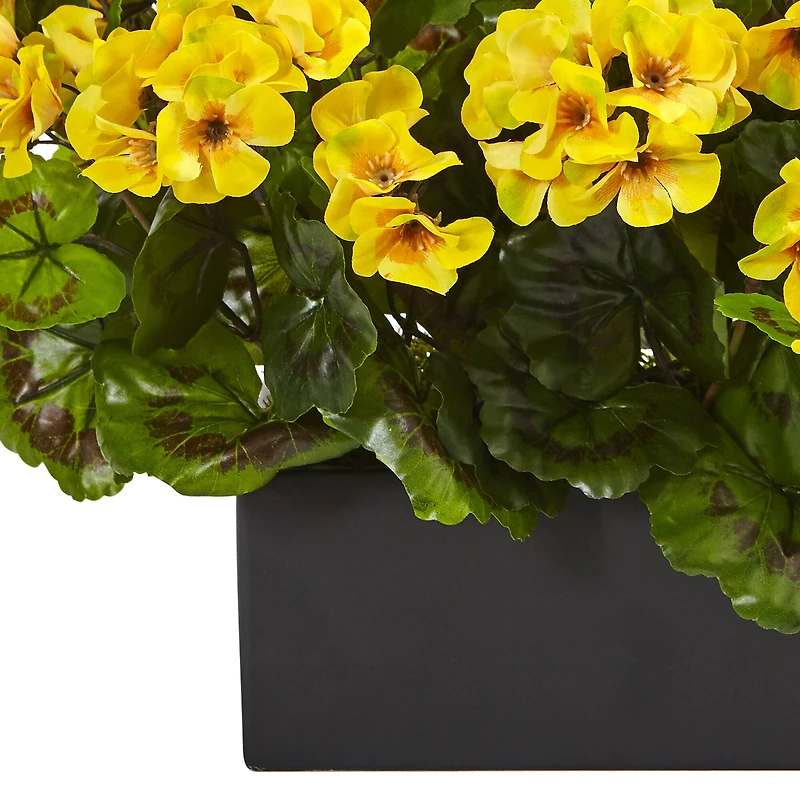 13" Yellow Geranium in Rectangular Planter