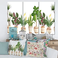 Designart - Trio of Houseplants Sanseviera Snake Plant