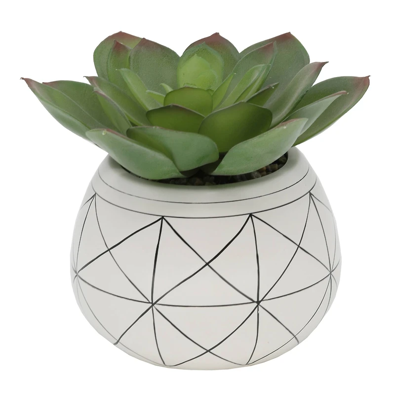 Flora Bunda® 6.5" Succulent In Gold Geo Hand Painted Ceramic Planter