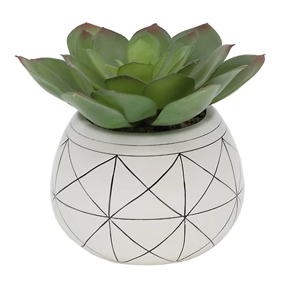 Flora Bunda® 6.5" Succulent In Gold Geo Hand Painted Ceramic Planter