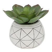 Flora Bunda® 6.5" Succulent In Gold Geo Hand Painted Ceramic Planter
