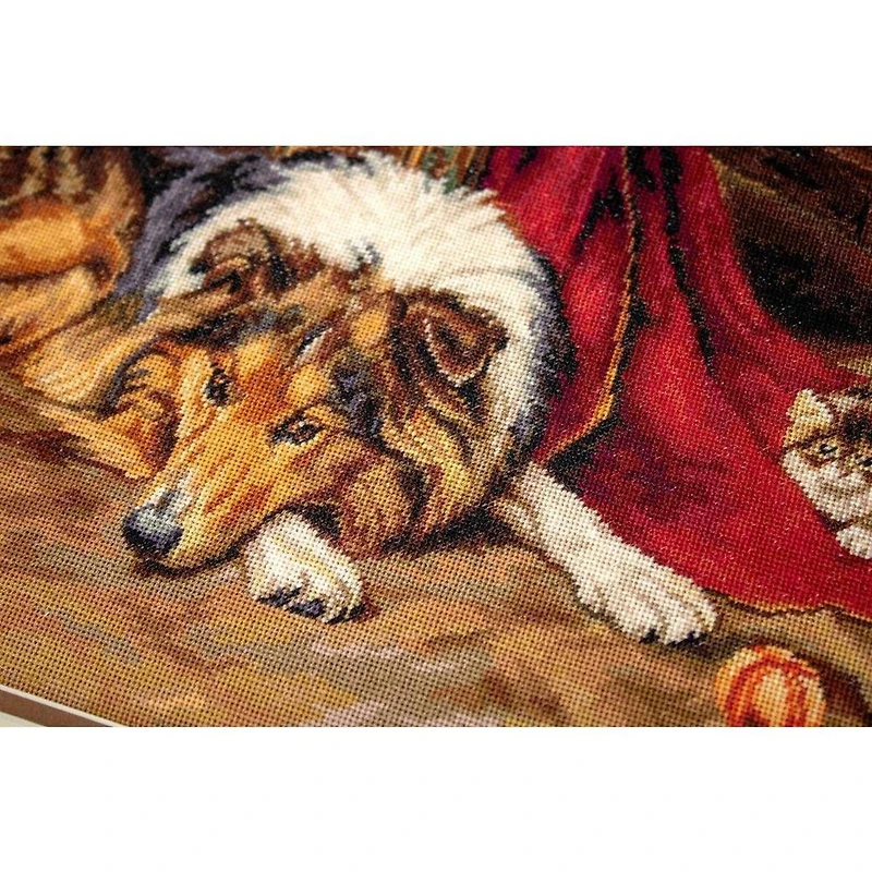 Luca-s A Reluctant Playmate Counted Cross Stitch Kit