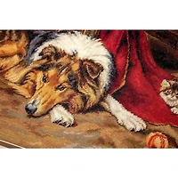 Luca-s A Reluctant Playmate Counted Cross Stitch Kit