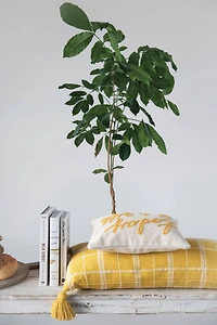 Hello Honey® Today Is A Gift Embroidered Cotton Lumbar Pillow