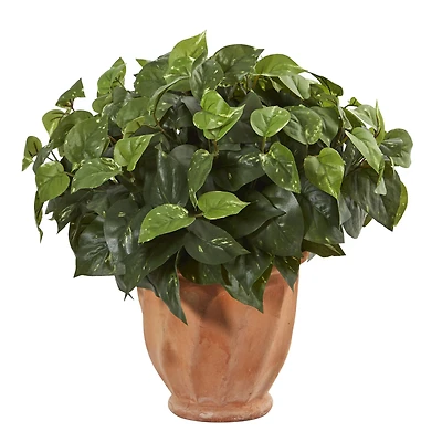 17" Pothos Plant in Terracotta Planter
