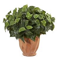 17" Pothos Plant in Terracotta Planter
