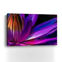 Retro Petals I Canvas Giclee