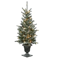 4ft. Pre-Lit Snowy Morgan Spruce Entrance Artificial Christmas Tree, Clear Lights