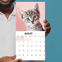 TF Publishing 2024 Kittens Mini Calendar