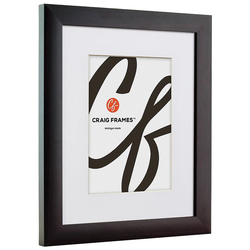 Craig Frames Contemporary Brazilian Walnut Picture Frame with Mat