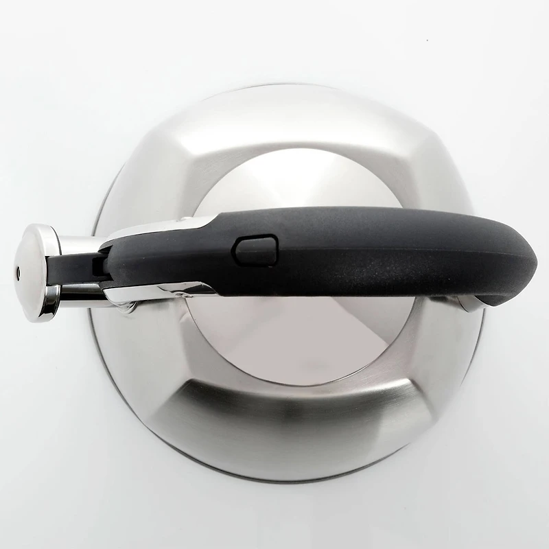 Mr. Coffee Belgrove 2.5qt. Brushed Stainless Steel Whistling Tea Kettle with Nylon Handle