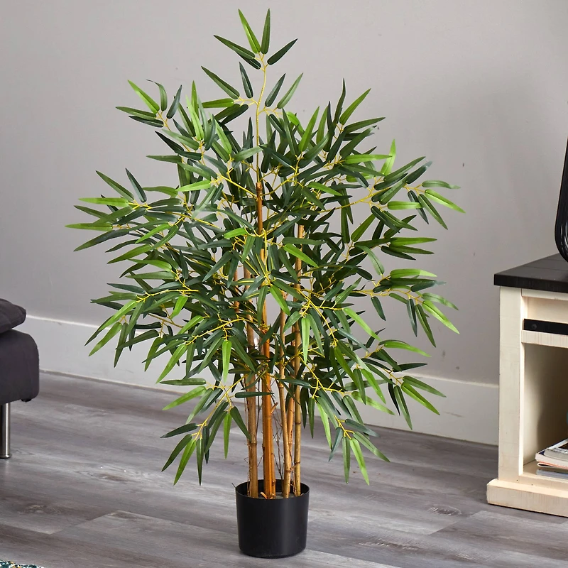 3ft. Potted Bambusa Bamboo Tree