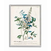 Stupell Industries Botanical Plant Illustration Wall Art in Gray Frame