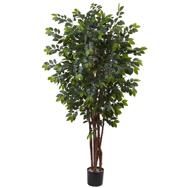 7ft. Potted Sakaki Silk Tree